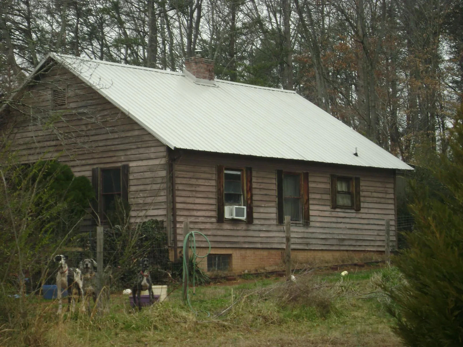 White metal roof on an old wood sided farmhouse, from a Asphalt Shingle Roof Repair job in Grassy Creek